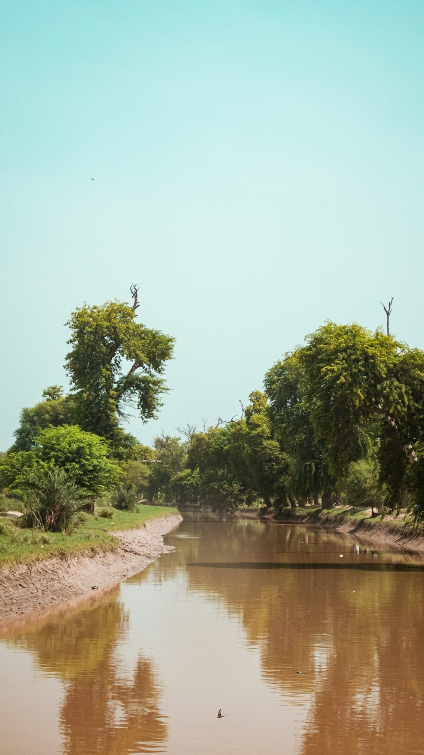 Discovering the Waterways of the Delta Region