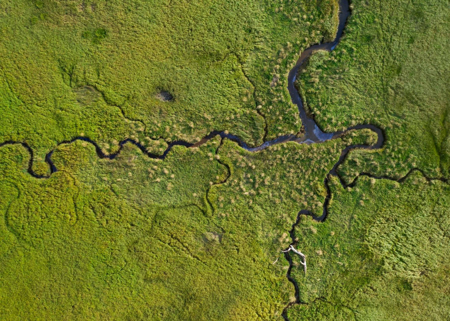 How the Niger Delta Inspires Conservation Efforts