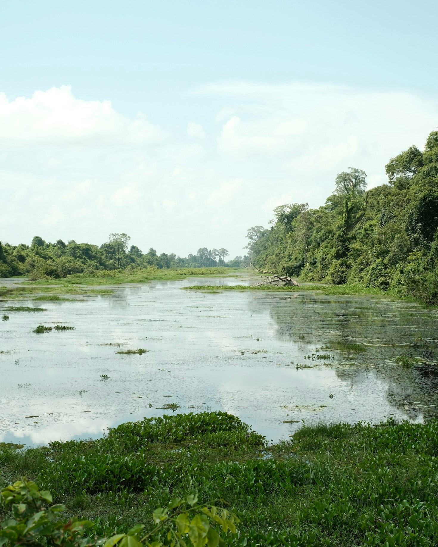 The Cultural Richness of the Niger Delta Landscapes