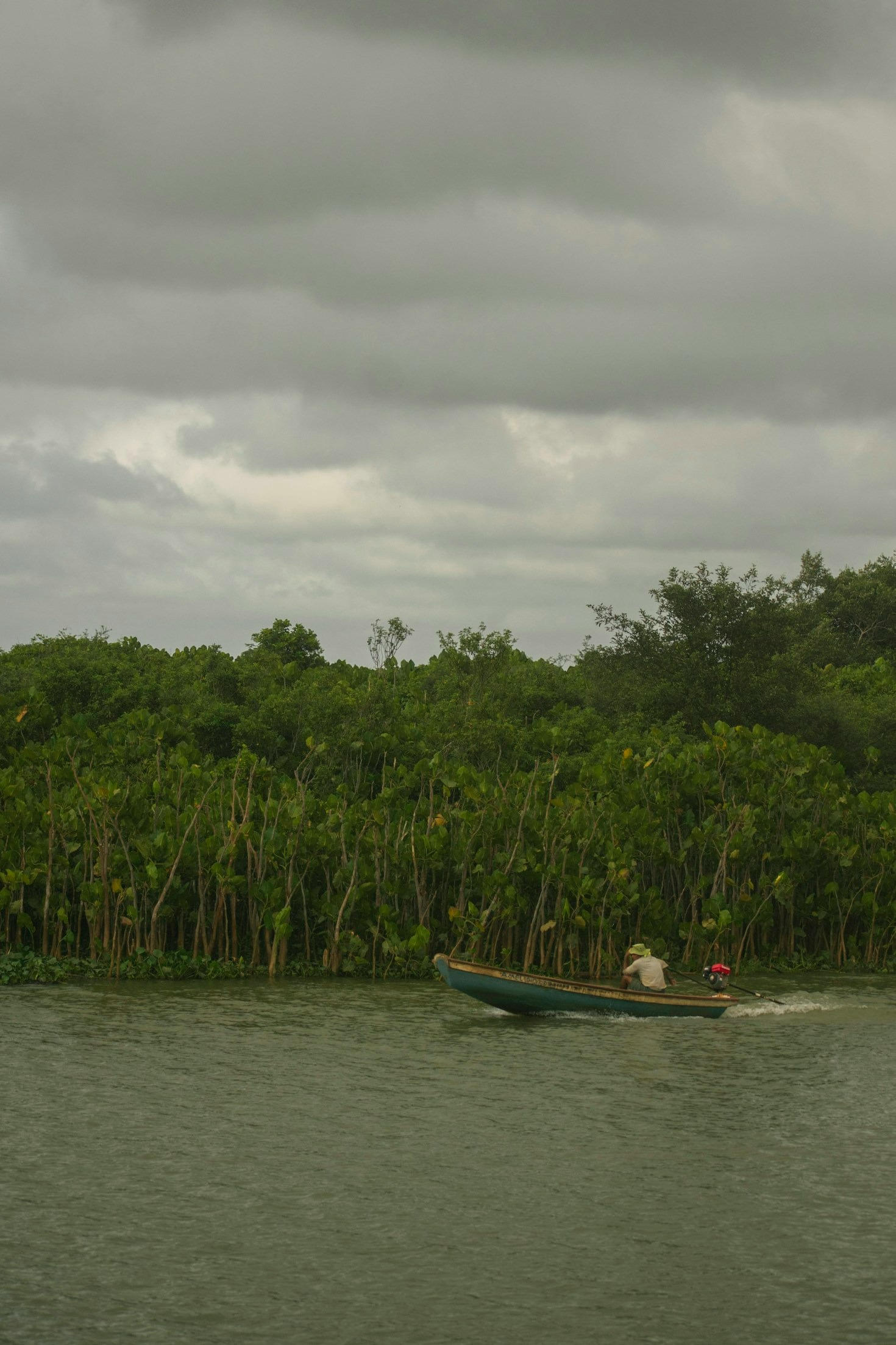 Eco-Tours: Exploring the Delta’s Wonders